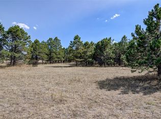16570 Great Smokey Ave, Elbert, CO 80106