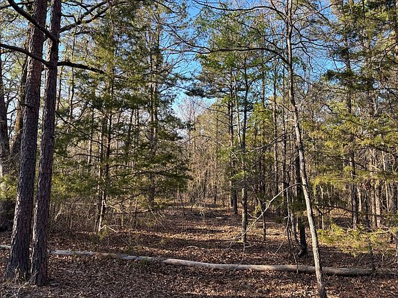 3rd image of 553 Bald Eagle Rd