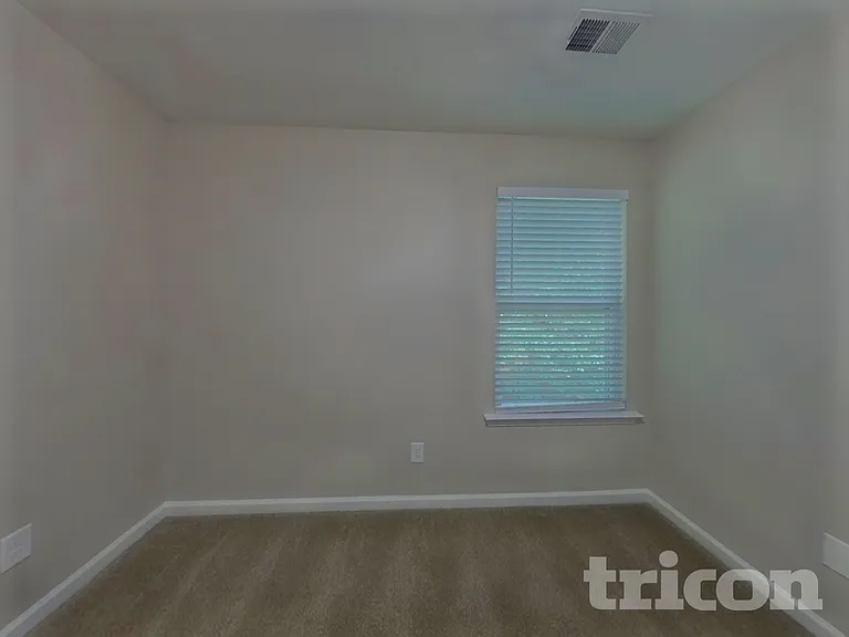 250 Harvest Glen Ln — Photo 10