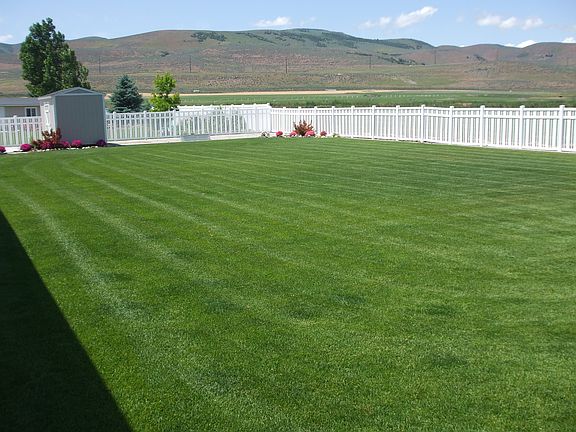 Large back yard