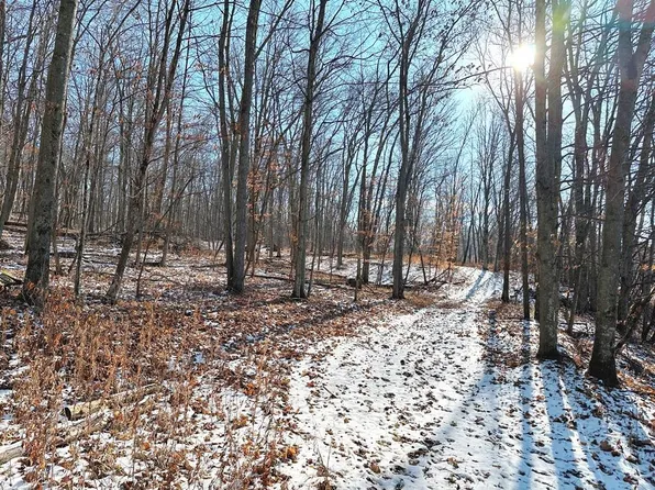 7.4 Acres Haney Ridge Road, Gays Mills, WI 54631