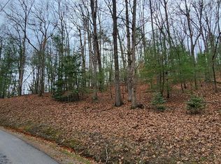 13 Mangums Trl, Blue Ridge, GA 30513