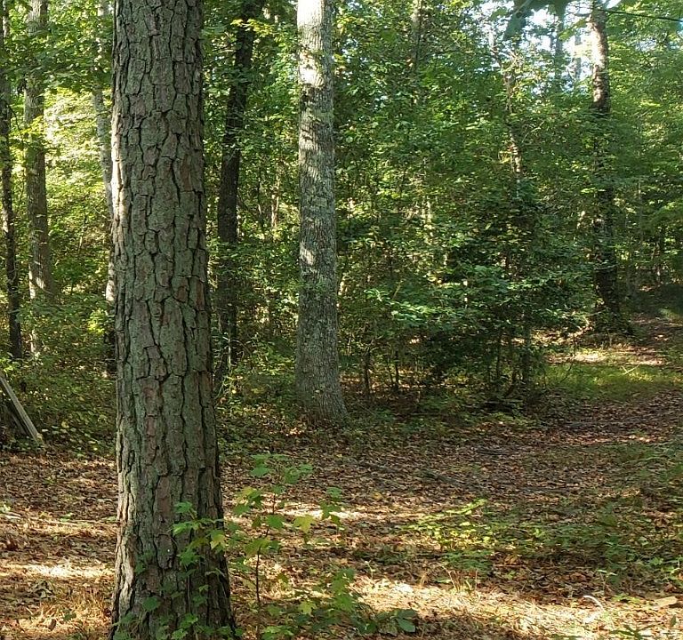 2nd image of 0TBD Bellswood Dr