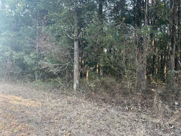 43 E Mockingbird Trl, Lead Hill, AR 72644