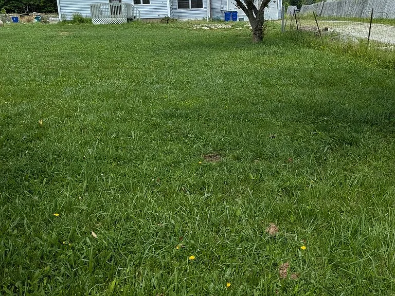 Sandy Lake Rd — Photo 1
