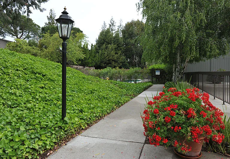 Seven Oaks — Photo 13