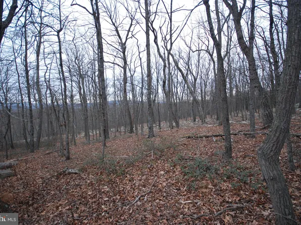 LOT 88 Wakeman Dr, Augusta, WV 26704