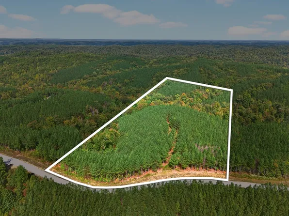 210 Ridgewood Dr, Linden, TN 37096