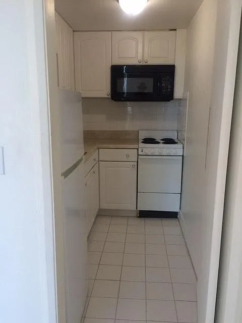 1 bed, 550 sqft, $1,600 — Photo 3