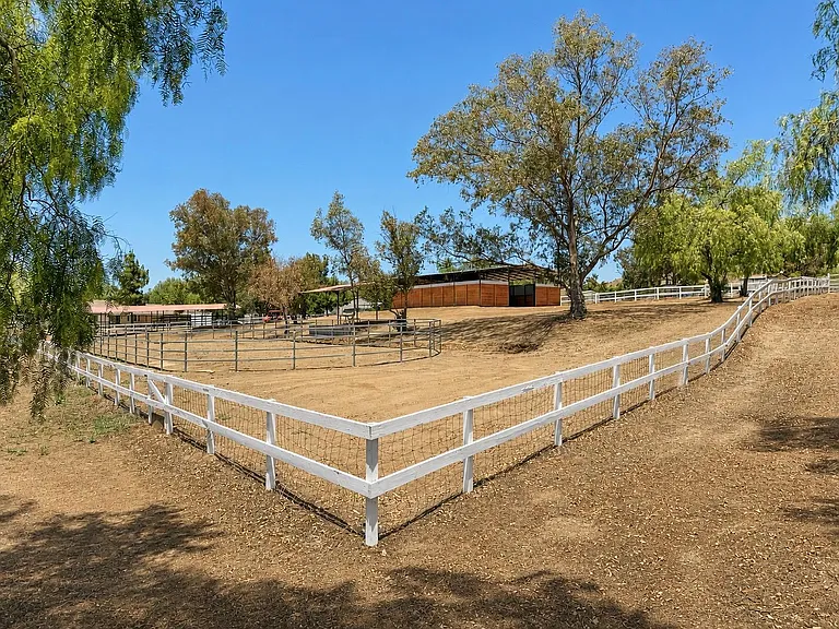 23510 Rose Quartz Dr — Photo 6