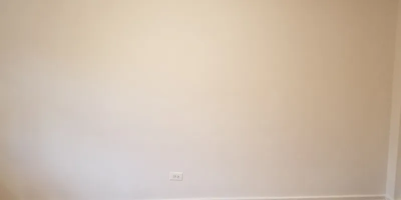 Rented by The Coop Connection LLC | media 2