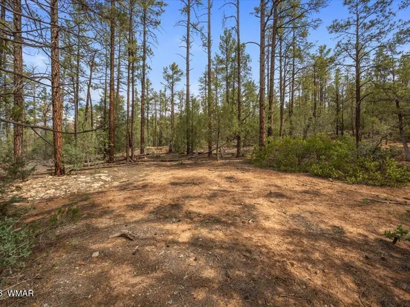 Pine Needle Dr, Show Low, AZ 85901