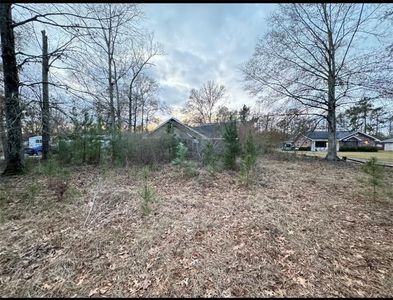 43169 Hinson Rd, Hammond, LA, 70403