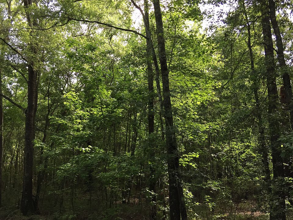 2nd image of Kinder Cemetery Road