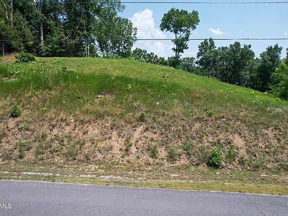4th image of 52 Fork Horn Lot 52