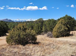 1105 Tumbleweed Rd, Cotopaxi, CO 81223