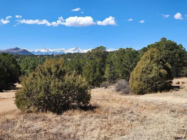 1105 Tumbleweed Rd, Cotopaxi, CO 81223