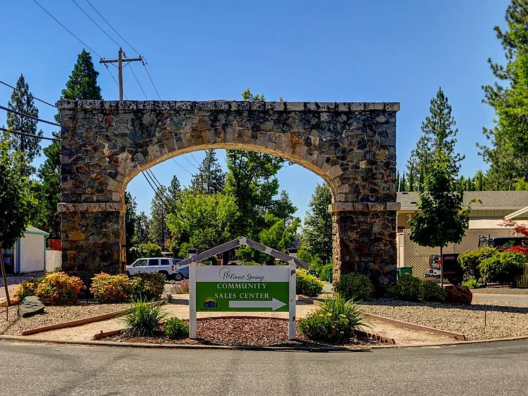 Forest Springs — Photo 6