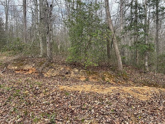 5th image of 2000B Green Ford Rd