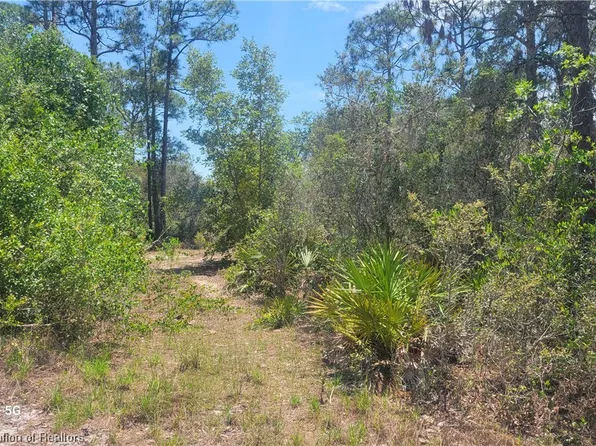3373 Gossamer Ave, Lake Placid, FL 33852