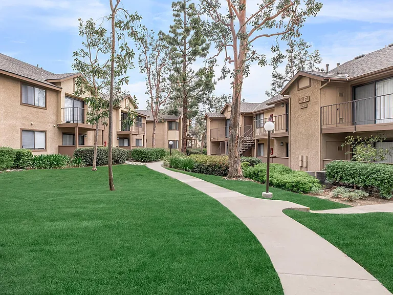 Mountain Springs Apartment Homes — Photo 5
