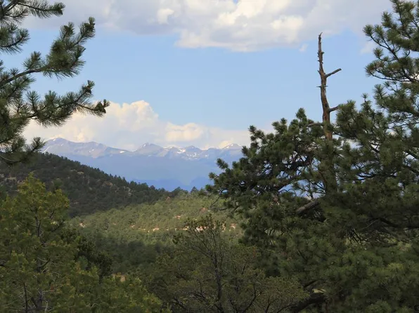 497 Bear Peak Rd, Westcliffe, CO 81252