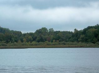3490 Murray Lake Ave NE, Lowell, MI 49331