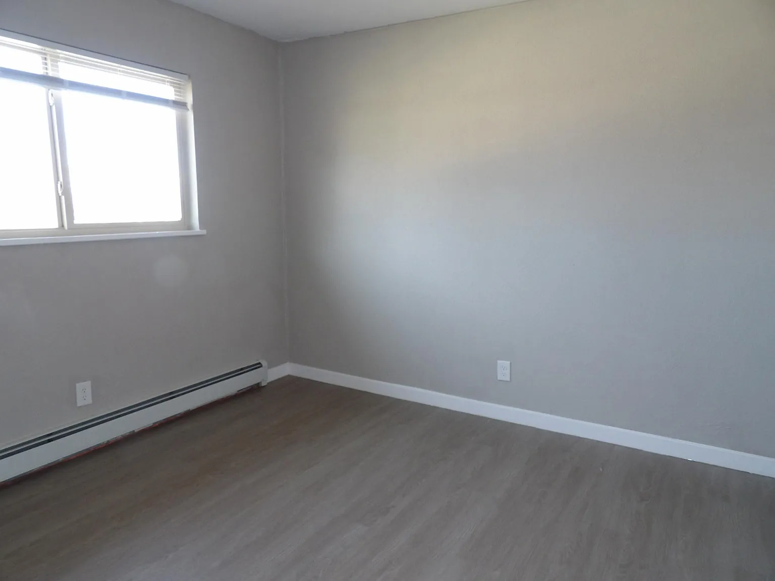 2 bed, 800 sqft, $1,250 — Photo 4