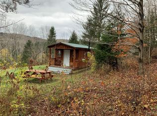 0 Bisbee Rd, Earlville, NY 13332