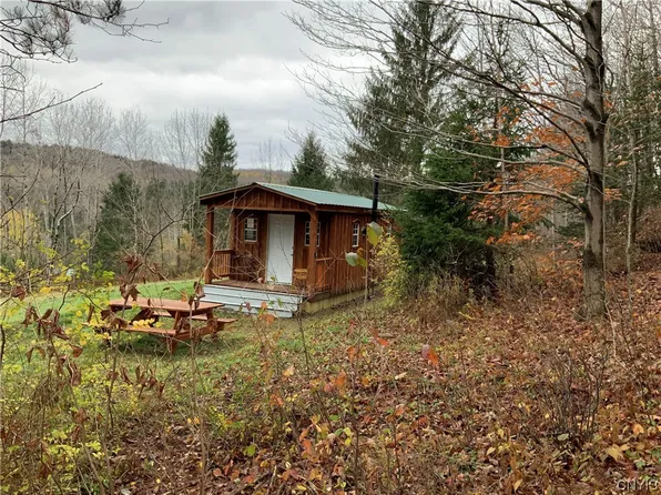 0 Bisbee Rd, Earlville, NY 13332