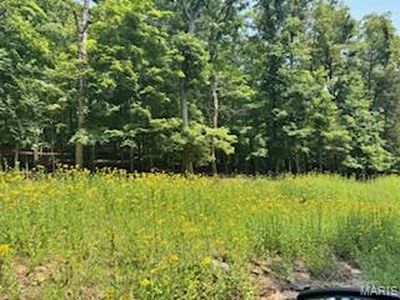 646 Sir Richard Dr, Marthasville, MO, 63357