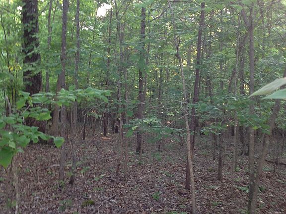 Gentle slope toward back of 