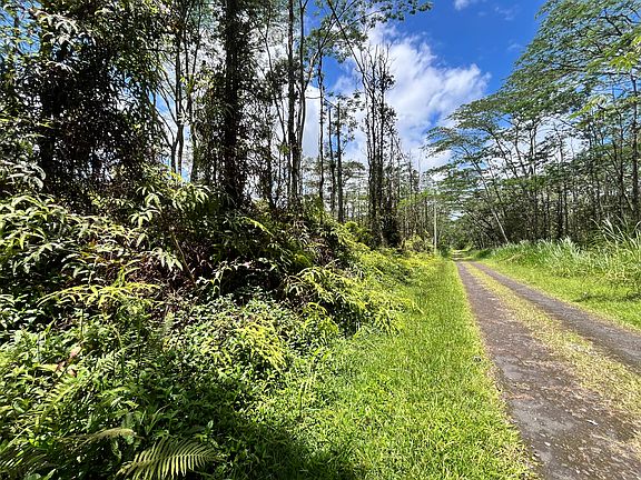 3rd image of Pikake Rd