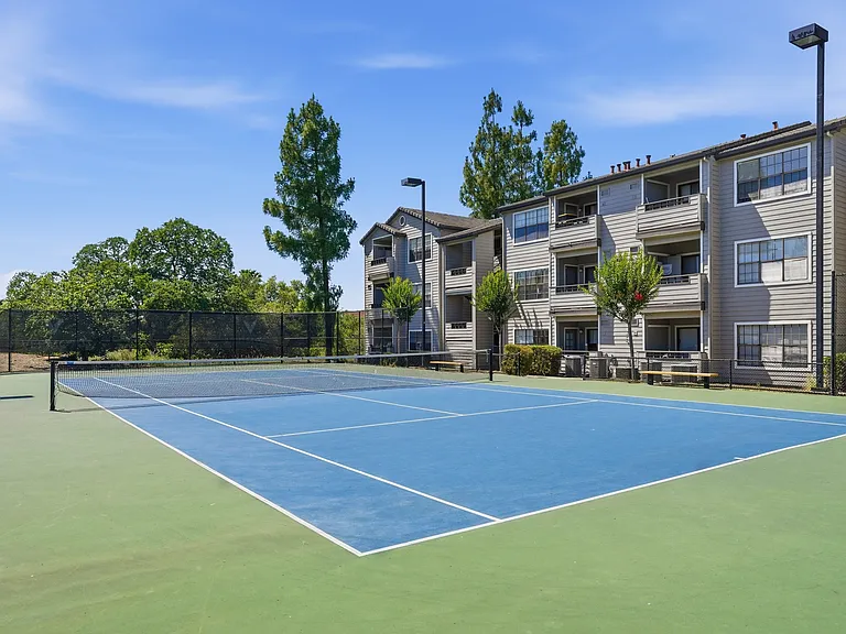 Serve, shoot, and score without leaving home.
