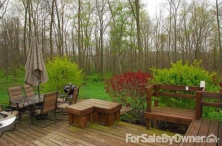 Wooded back yard