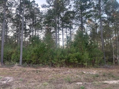 2 Blacks Dr, Williston, SC, 29853
