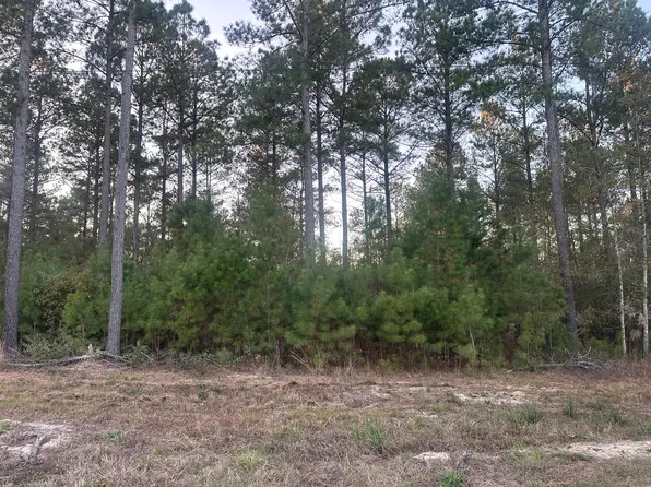 2 Blacks Dr, Williston, SC 29853