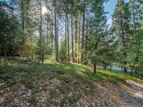 51 Canterwood Ln, Murphys, CA 95247