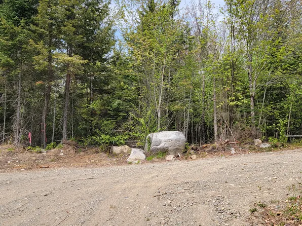 TBD Cobb Cove Road, Lincoln, ME 04457