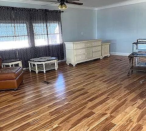 Living room area