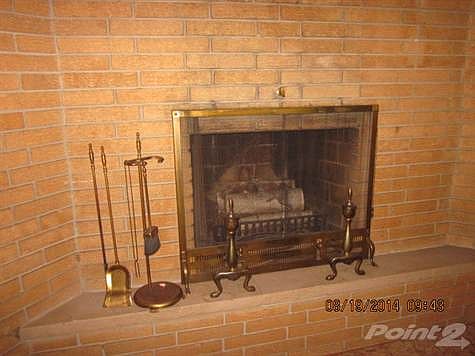 Fireplace in LR