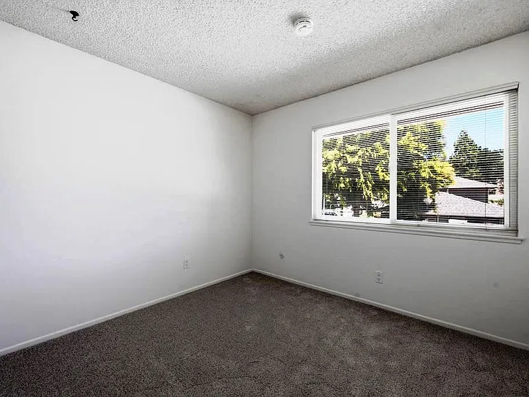 28832 Conejo View Dr — Photo 23