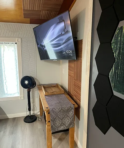TV with Chromecast along with floor fan, table and soundproofing.