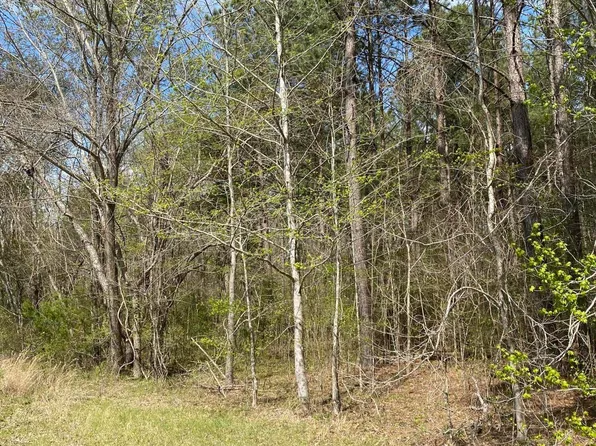 Dampeer Rd, Canton, MS 39046