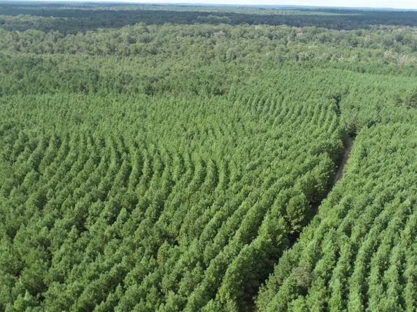 Farm To Market Rd #83, Hemphill, TX 75948