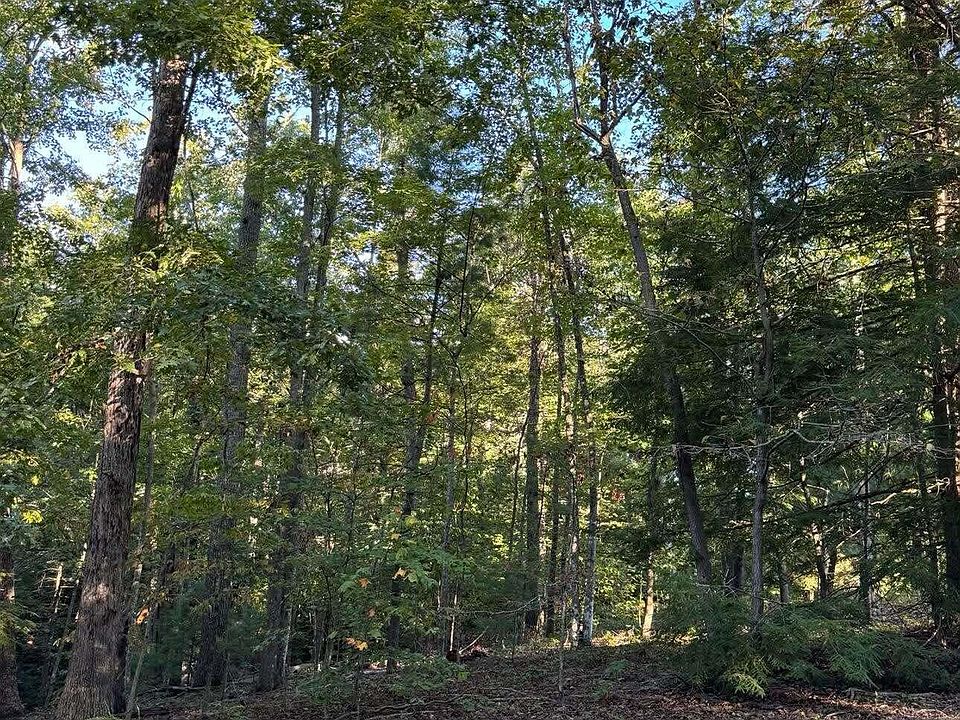 1st image of 0 Turkey Ridge Rd Lot 49