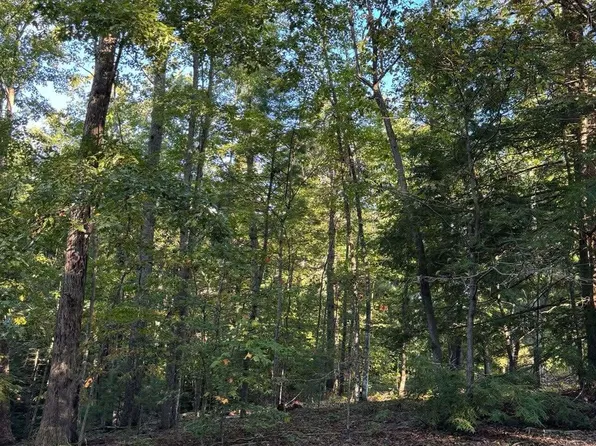 0 Sled Run Rd Lot 93, Wellington, KY 40387