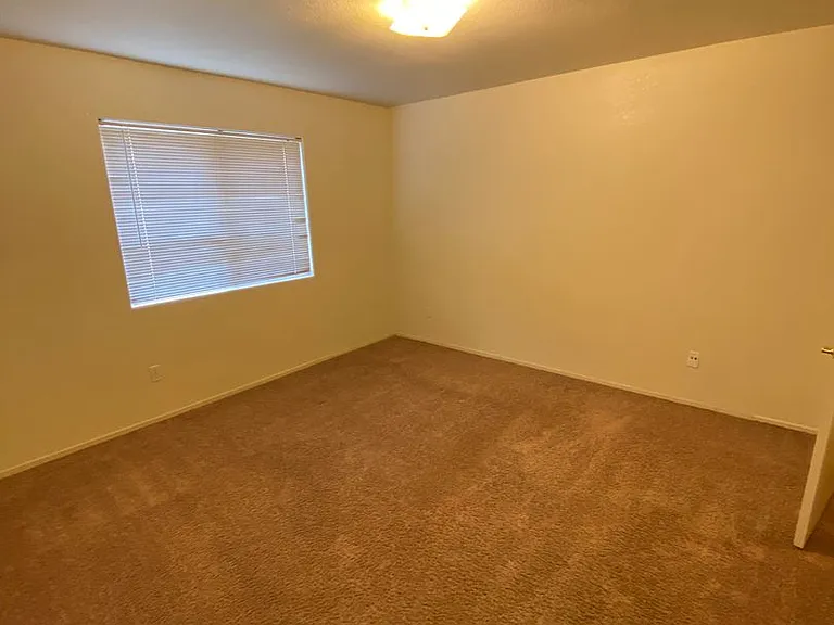 4401 Pebble Creek Dr — Photo 6