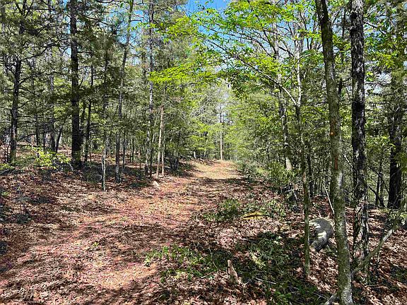5th image of TRACT 2 Fox Pen Rd