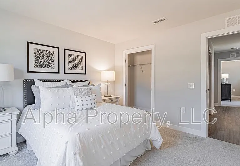 505 Olivia Springs Dr — Photo 14